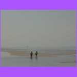 Sisters - Desire, Discipline, Delight.jpg